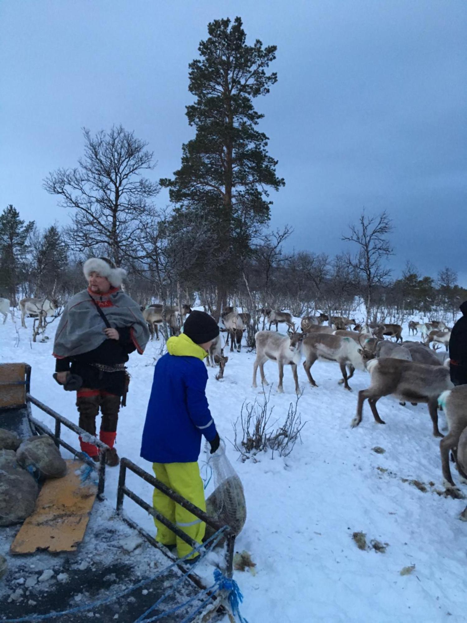 Bardufoss Hotell Екстер'єр фото