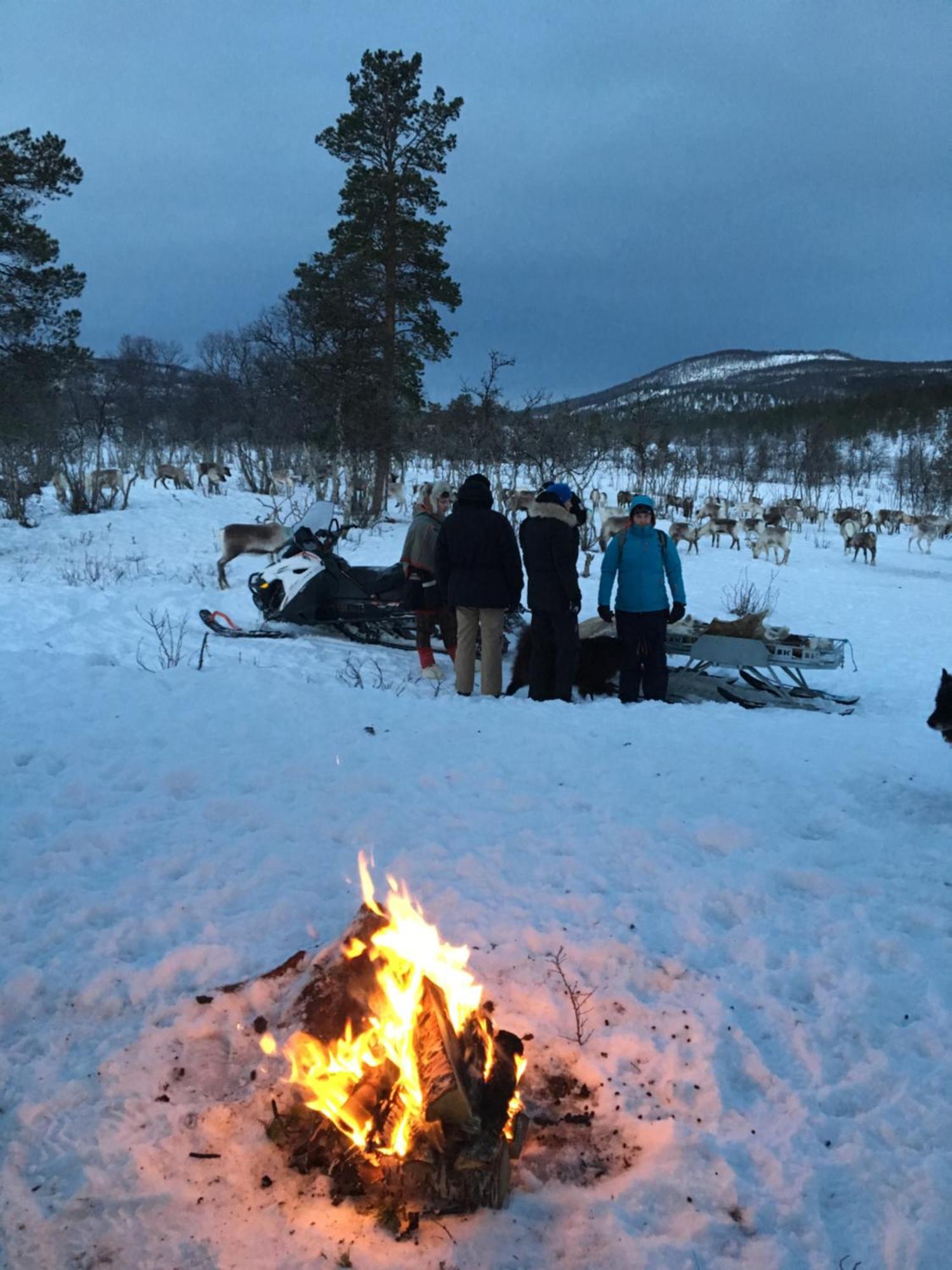 Bardufoss Hotell Екстер'єр фото